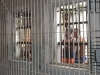 Brazil-067.jpg