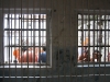 Brazil-068.jpg