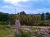 Haiti006