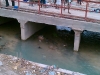 Haiti008