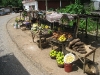 Haiti040