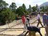 Haiti-2011-03-100