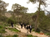 Israel023