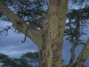 Kenya18.jpg