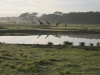 Kenya19.jpg
