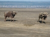 Kenya44.jpg