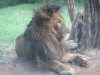 Kenya61.jpg