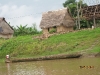 Peru-Amazon037.jpg