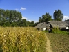 Romania-2011-09-38