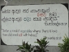 Sri-Lanka_0254