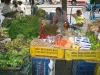 100_0014.jpg