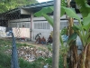 100_0025.jpg